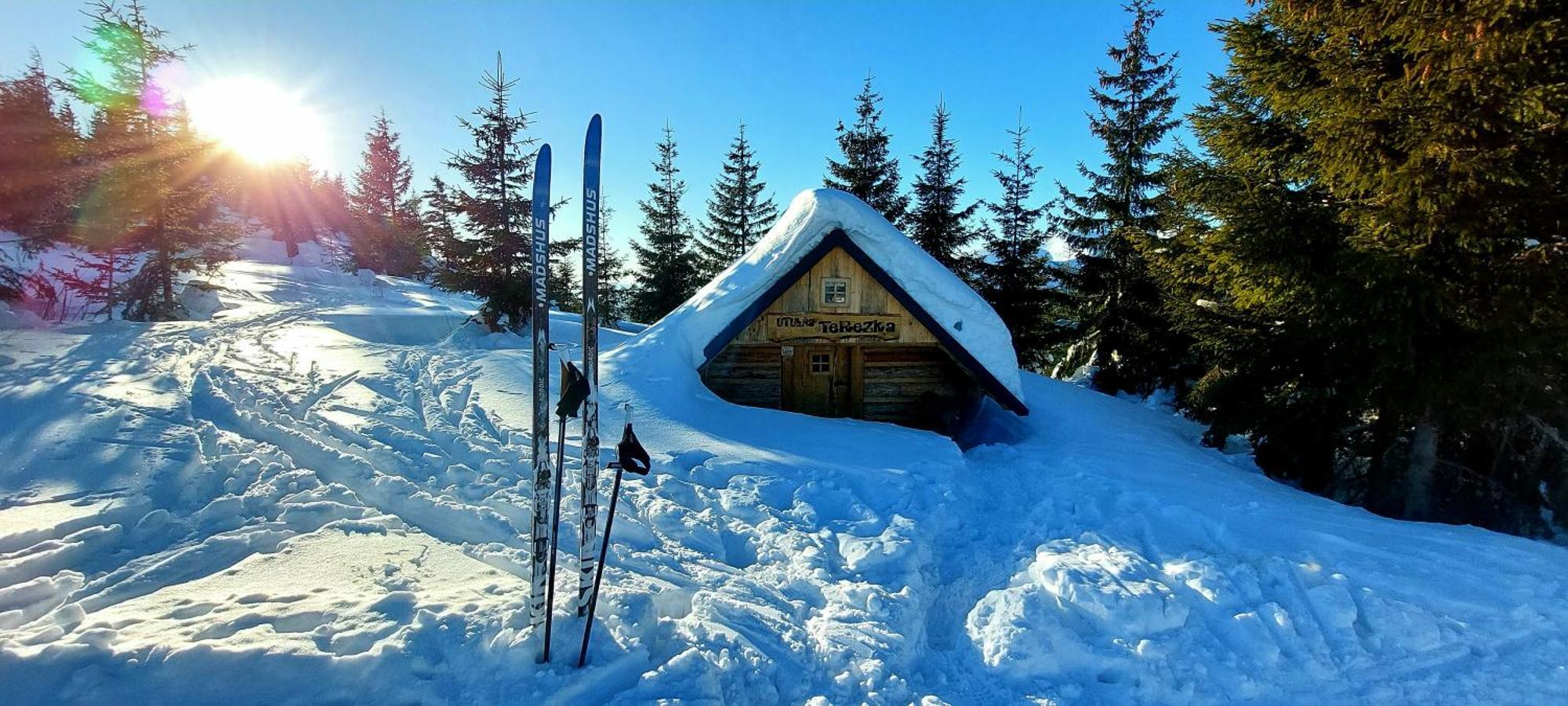 Liptovský Hrádok Tiny House Olivia 아파트 외부 사진